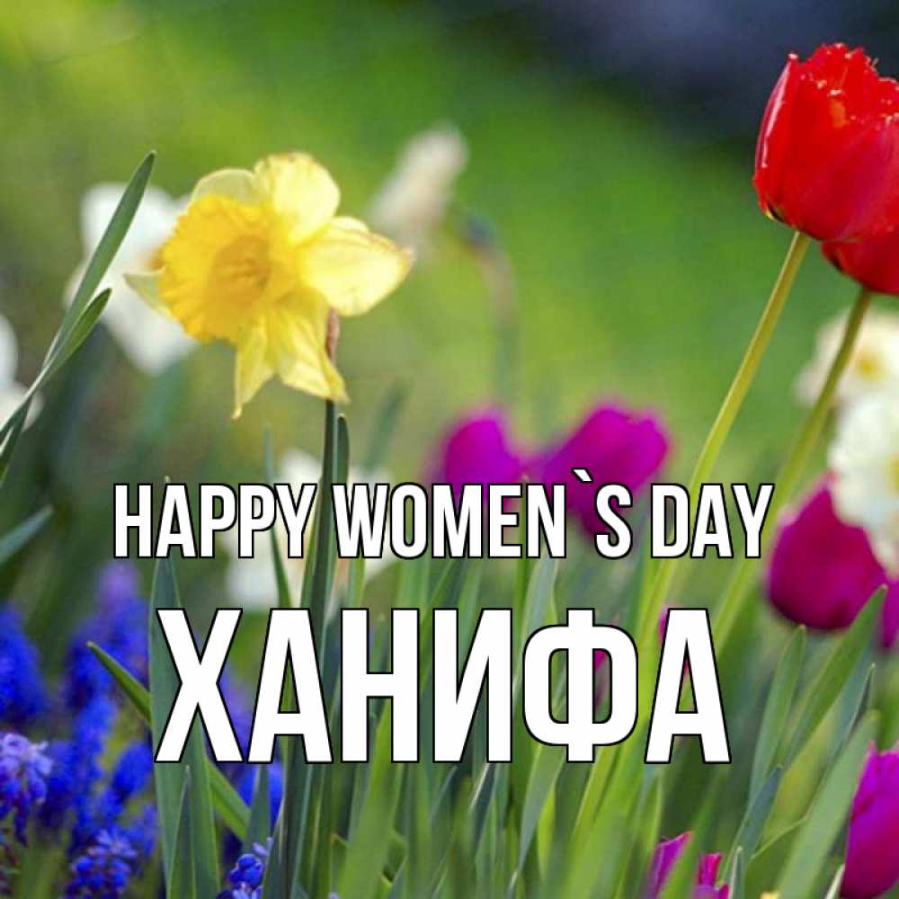 Greetings card с именем, ХАНИФА happy women`s day международный женский день 3 Greetings with text for free download 